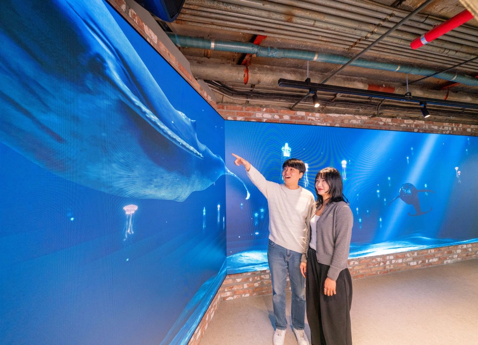 브로콜리 지역정보 관련 사진 2