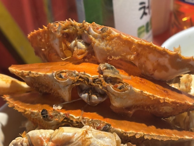 동해회마을 사진 6