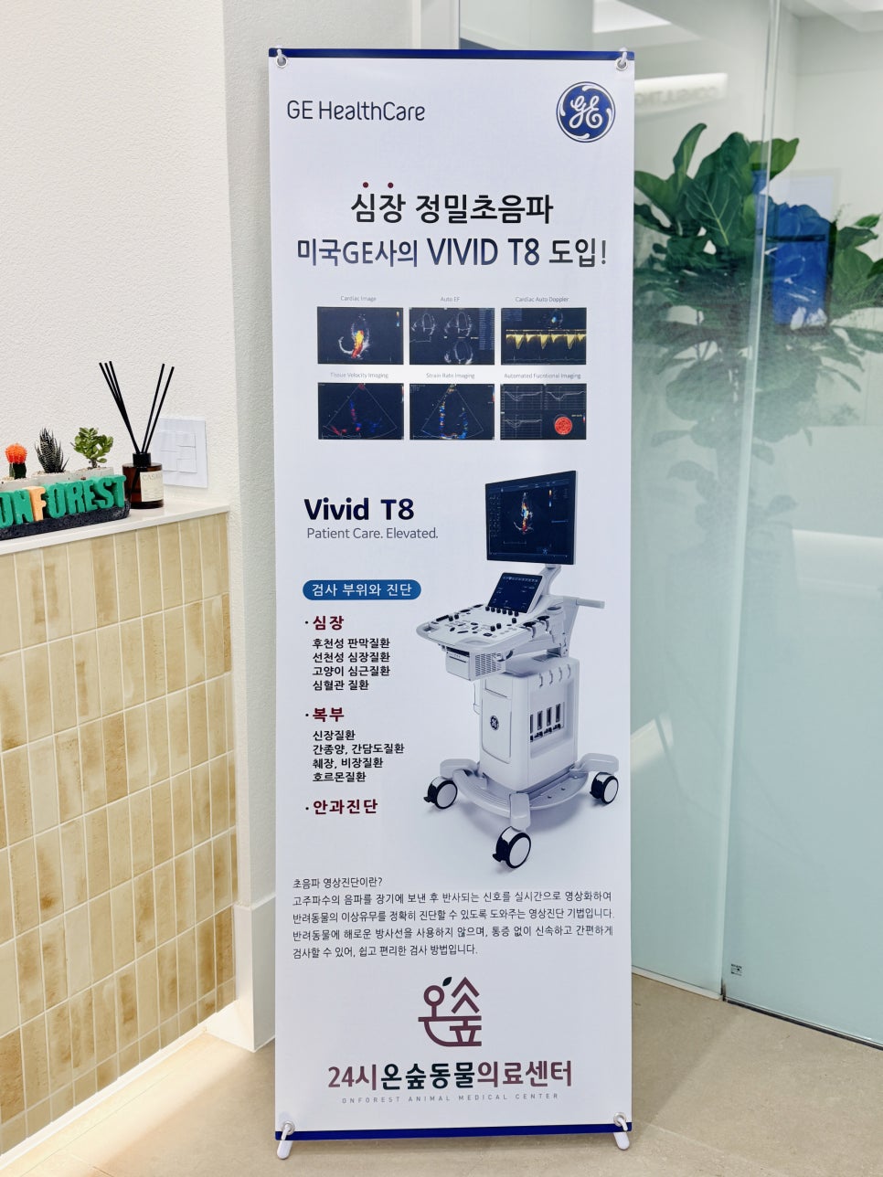 강아지 심장 초음파 검사, 강남 24시 온숲동물의료센터 비용 및 후기 — 사진 9