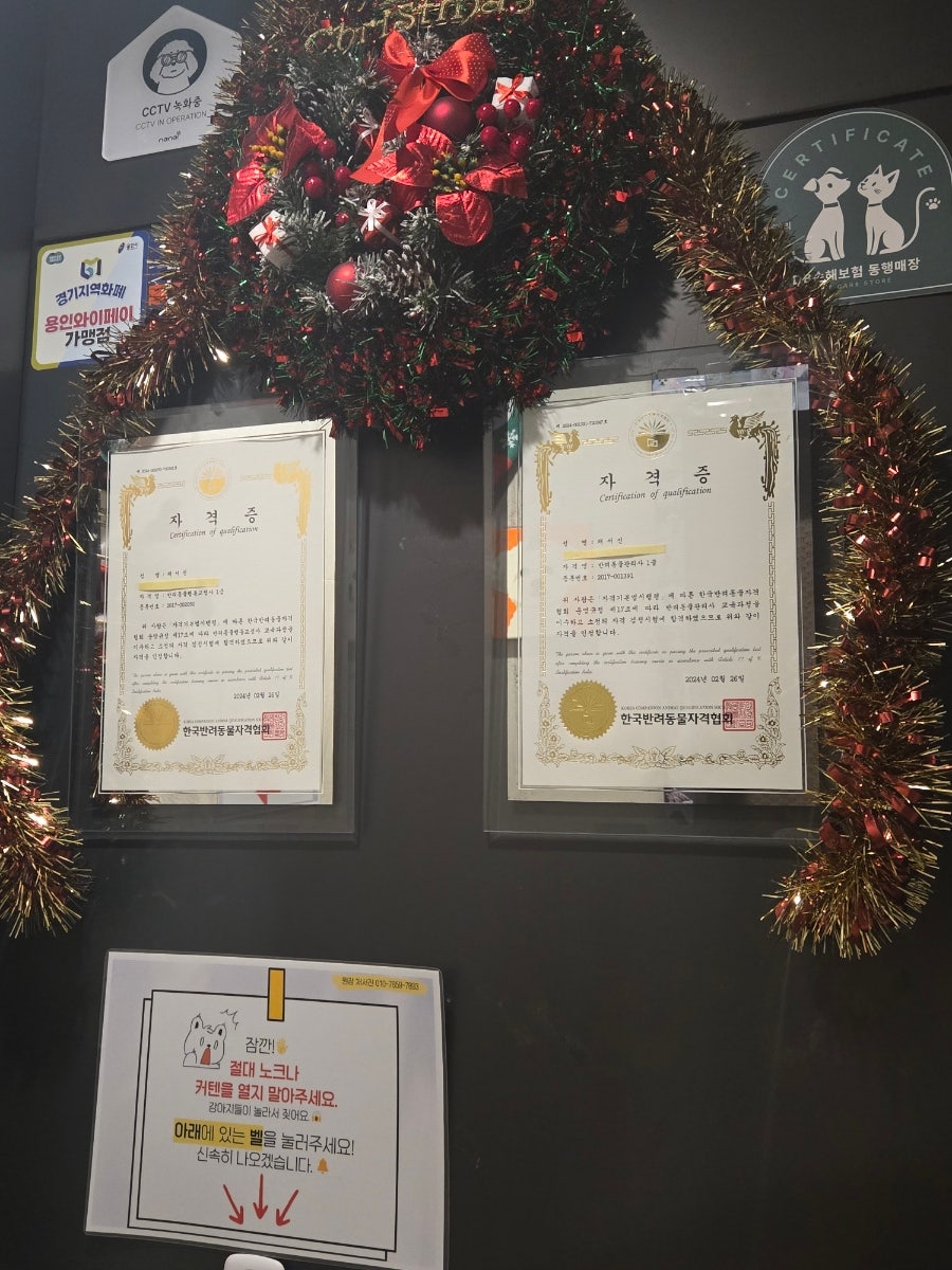 용인 수지 강아지 유치원, 멍집사 데이케어 비용 및 후기 — 사진 2