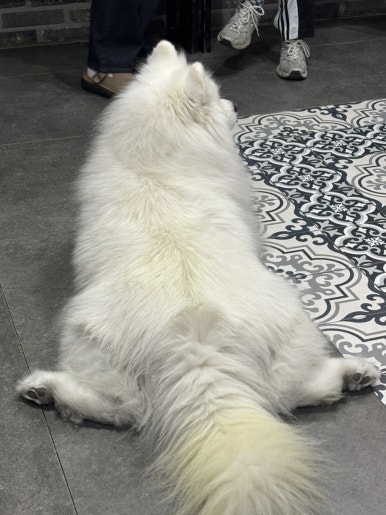 화끈쭈꾸미 선부점 사진 7