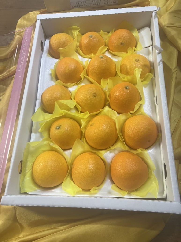 1인피자탐나미니박스 건대점 사진 6