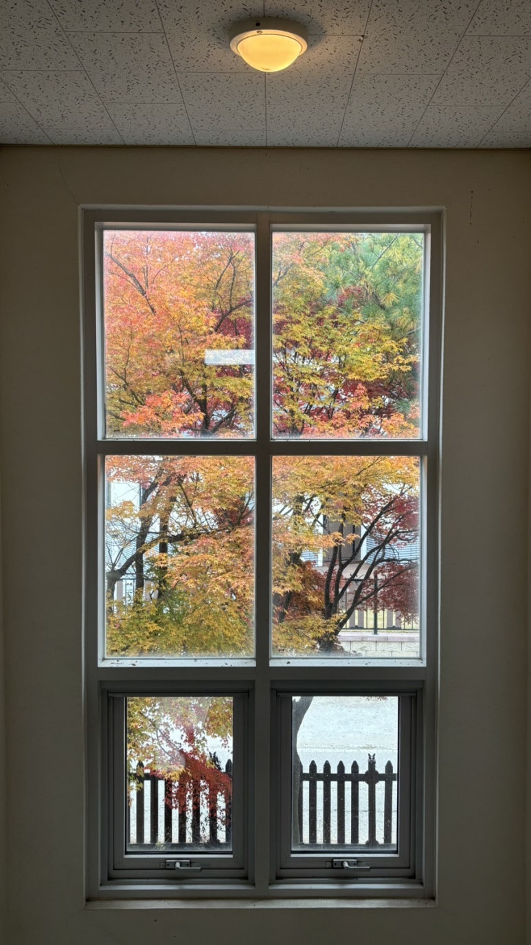 화끈쭈꾸미 선부점 사진 6