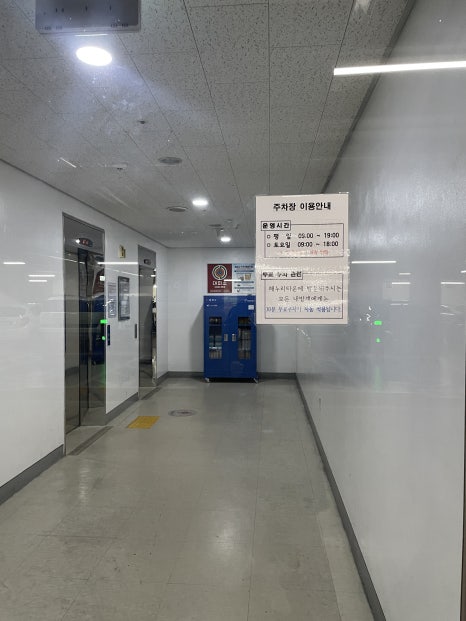 브로콜리 지역정보 관련 사진 7