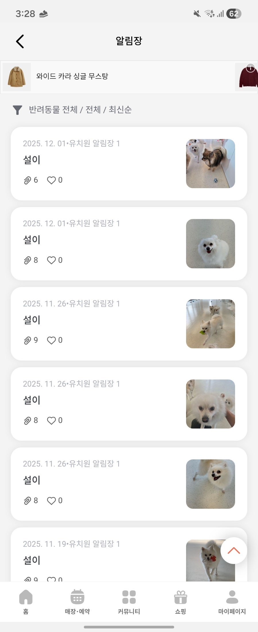 용인 수지 강아지 유치원, 멍집사 데이케어 비용 및 후기 — 사진 19