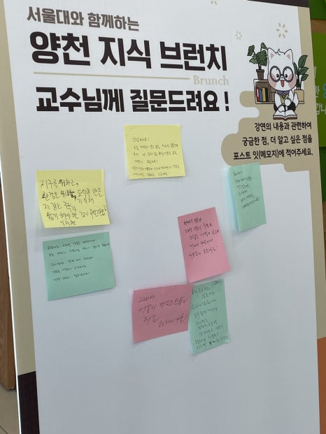 브로콜리 지역정보 관련 사진 12