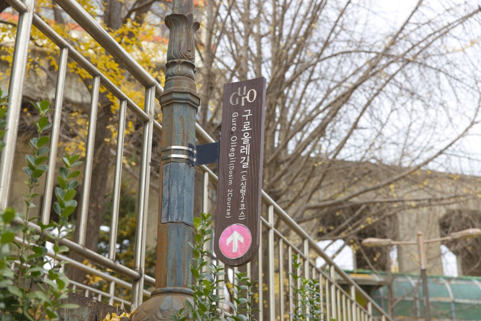 브로콜리 지역정보 관련 사진 4