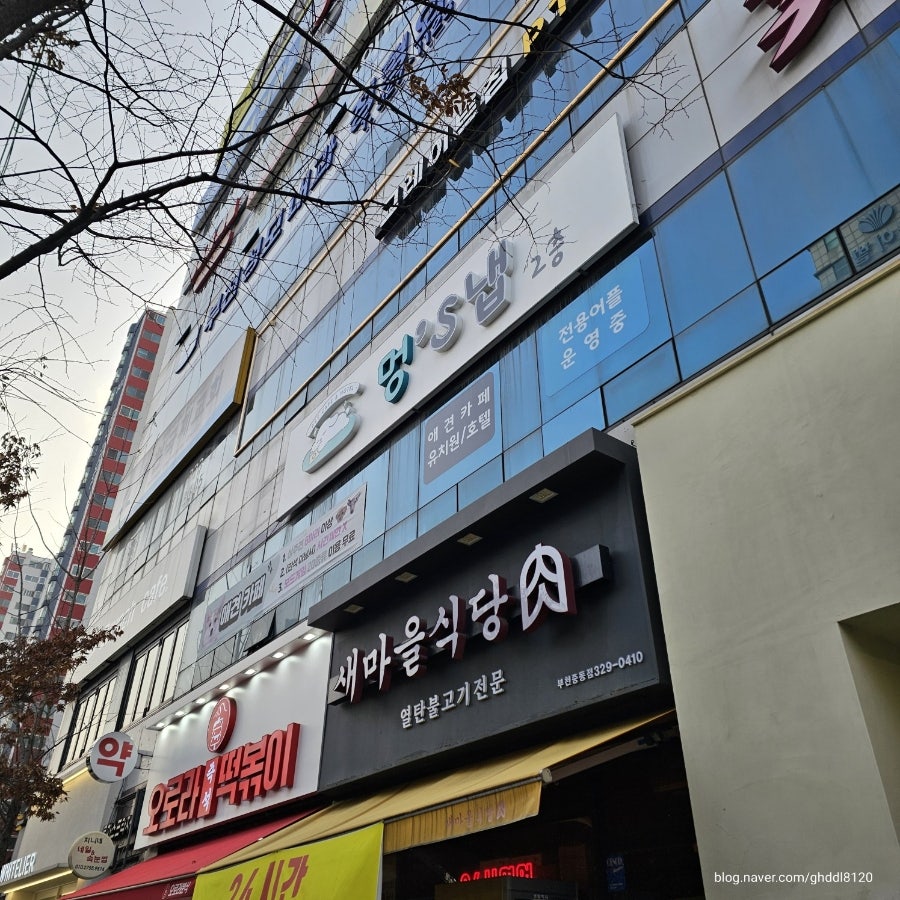 부천 애견카페 멍스냅: 반려견 없이도 즐기는 힐링 공간 — 사진 2