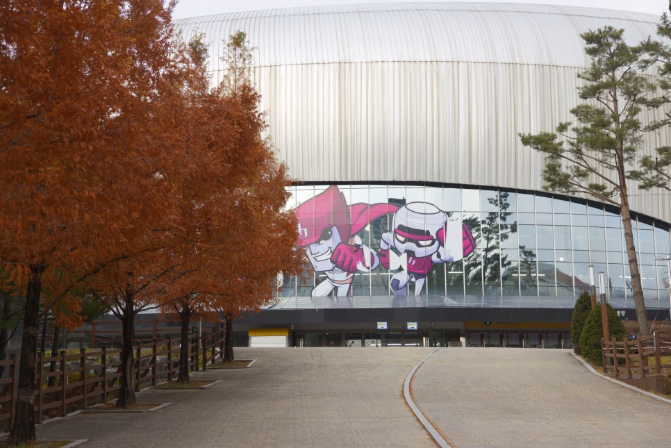 브로콜리 지역정보 관련 사진 21