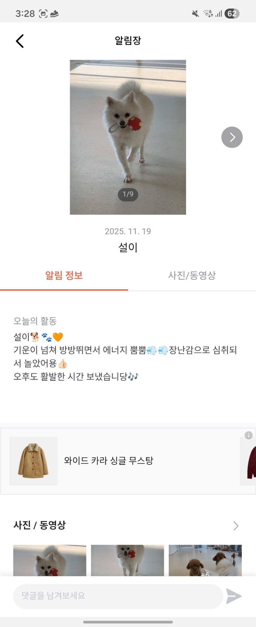 용인 수지 강아지 유치원, 멍집사 데이케어 비용 및 후기 — 사진 20