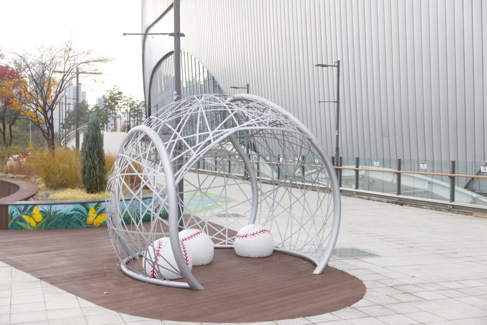 브로콜리 지역정보 관련 사진 12