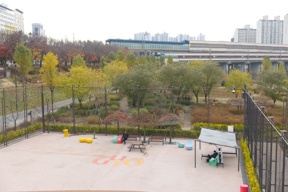 브로콜리 지역정보 관련 사진 7