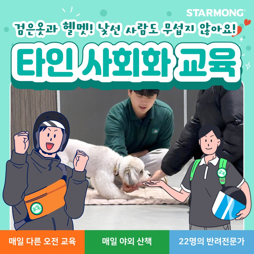 강아지 헬멧 사회화 훈련, 긍정적 경험 만들기