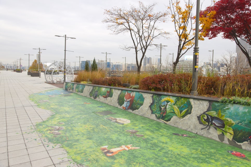 브로콜리 지역정보 관련 사진 16