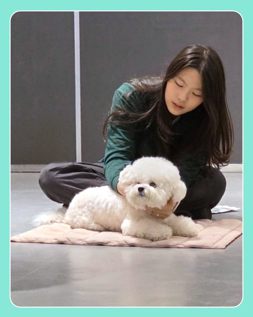 강아지 헬멧 사회화 훈련, 긍정적 경험 만들기 — 사진 6