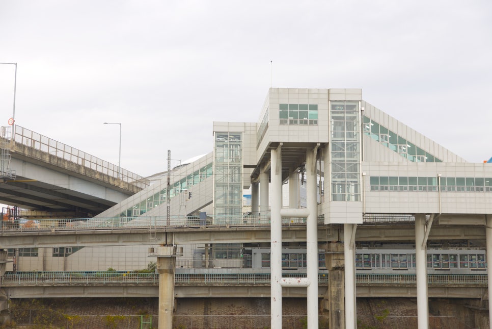 브로콜리 지역정보 관련 사진 1