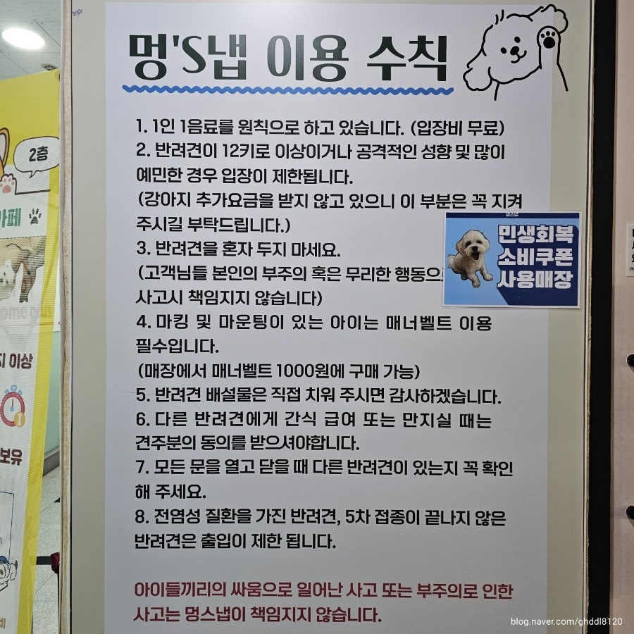 부천 애견카페 멍스냅: 반려견 없이도 즐기는 힐링 공간 — 사진 5