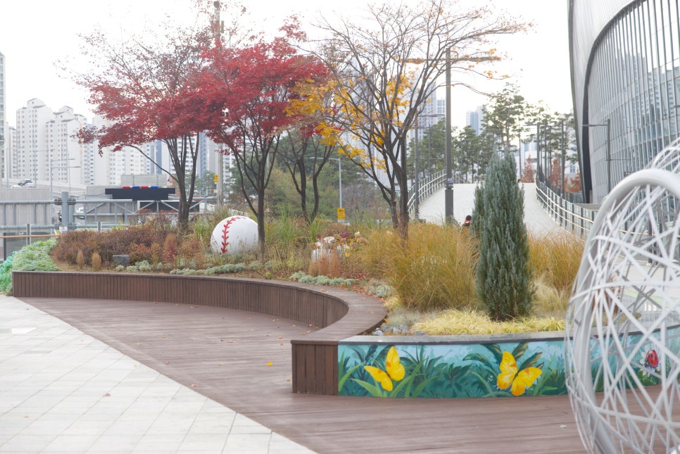 브로콜리 지역정보 관련 사진 13