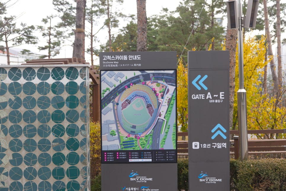 브로콜리 지역정보 관련 사진 18