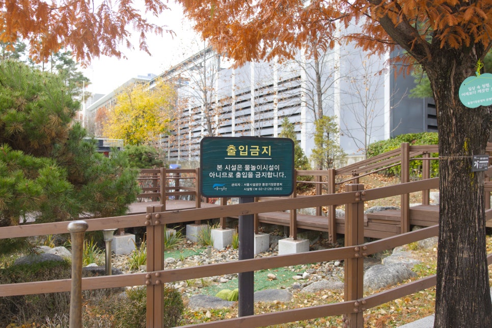 브로콜리 지역정보 관련 사진 22