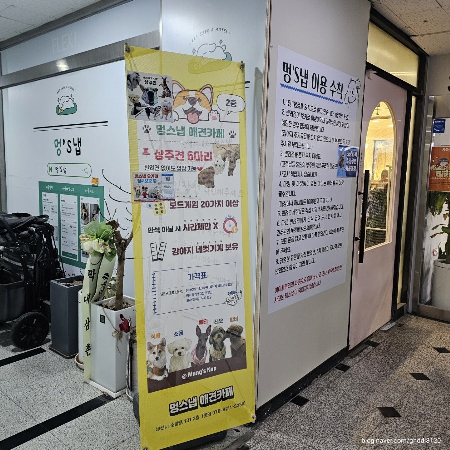 부천 애견카페 멍스냅: 반려견 없이도 즐기는 힐링 공간 — 사진 4