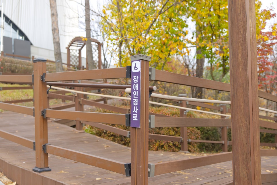 브로콜리 지역정보 관련 사진 20