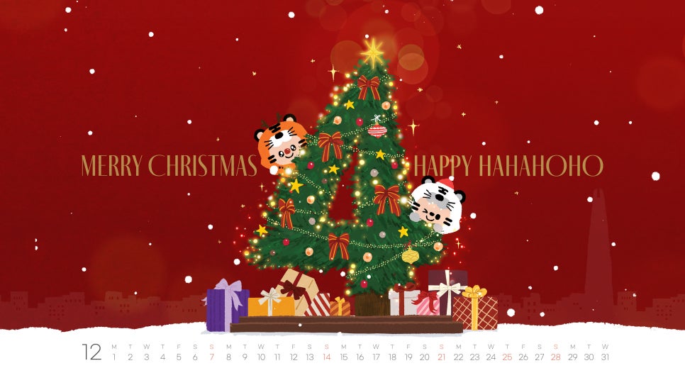 브로콜리 지역정보 관련 사진 4