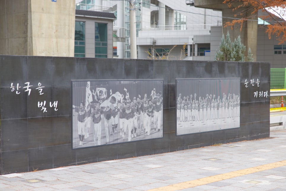 브로콜리 지역정보 관련 사진 23