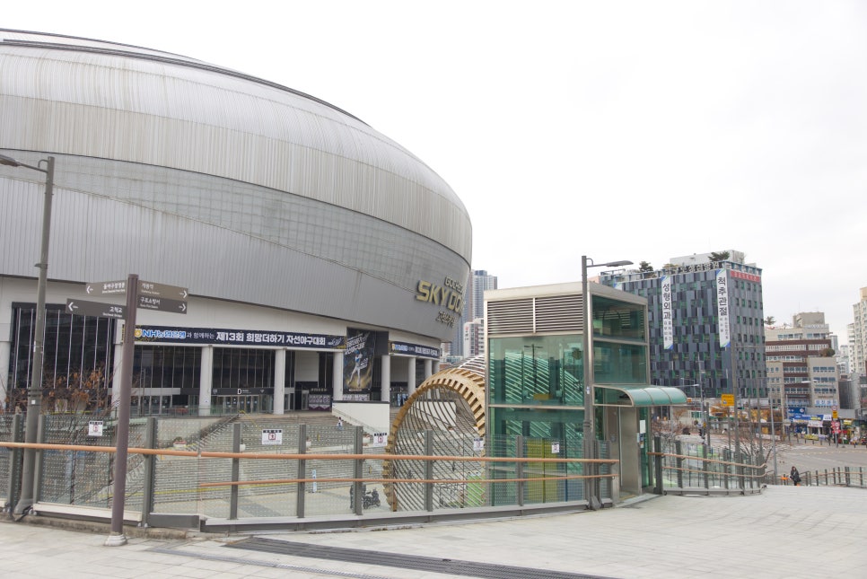 브로콜리 지역정보 관련 사진 9