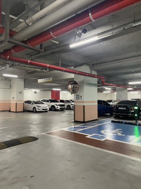 브로콜리 지역정보 관련 사진 8