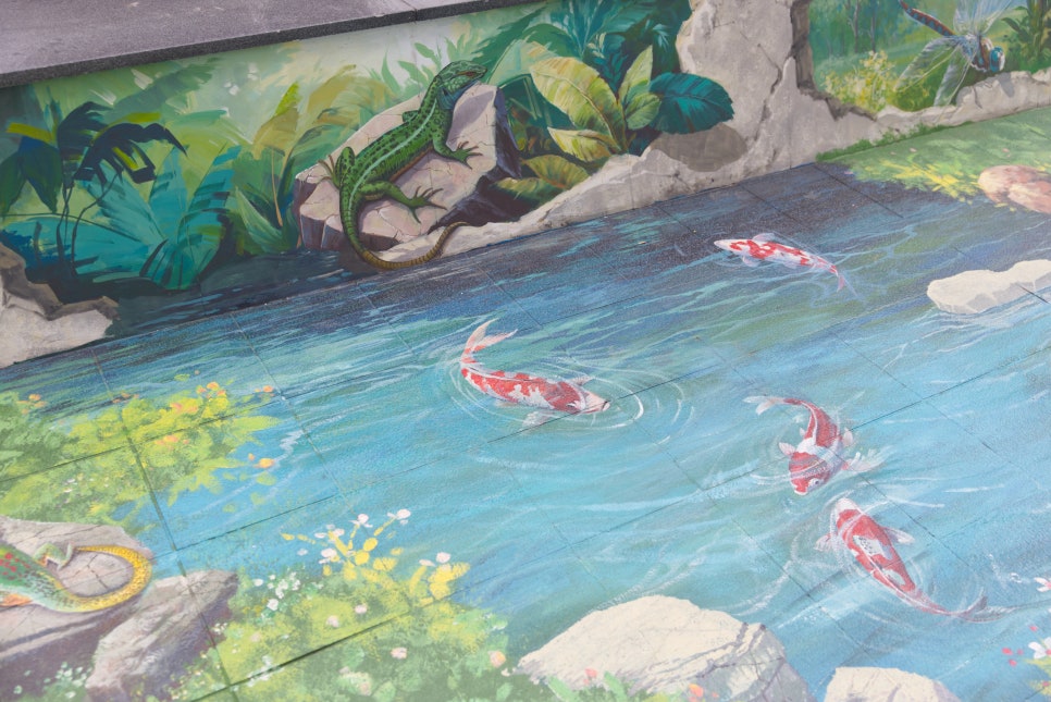 브로콜리 지역정보 관련 사진 14