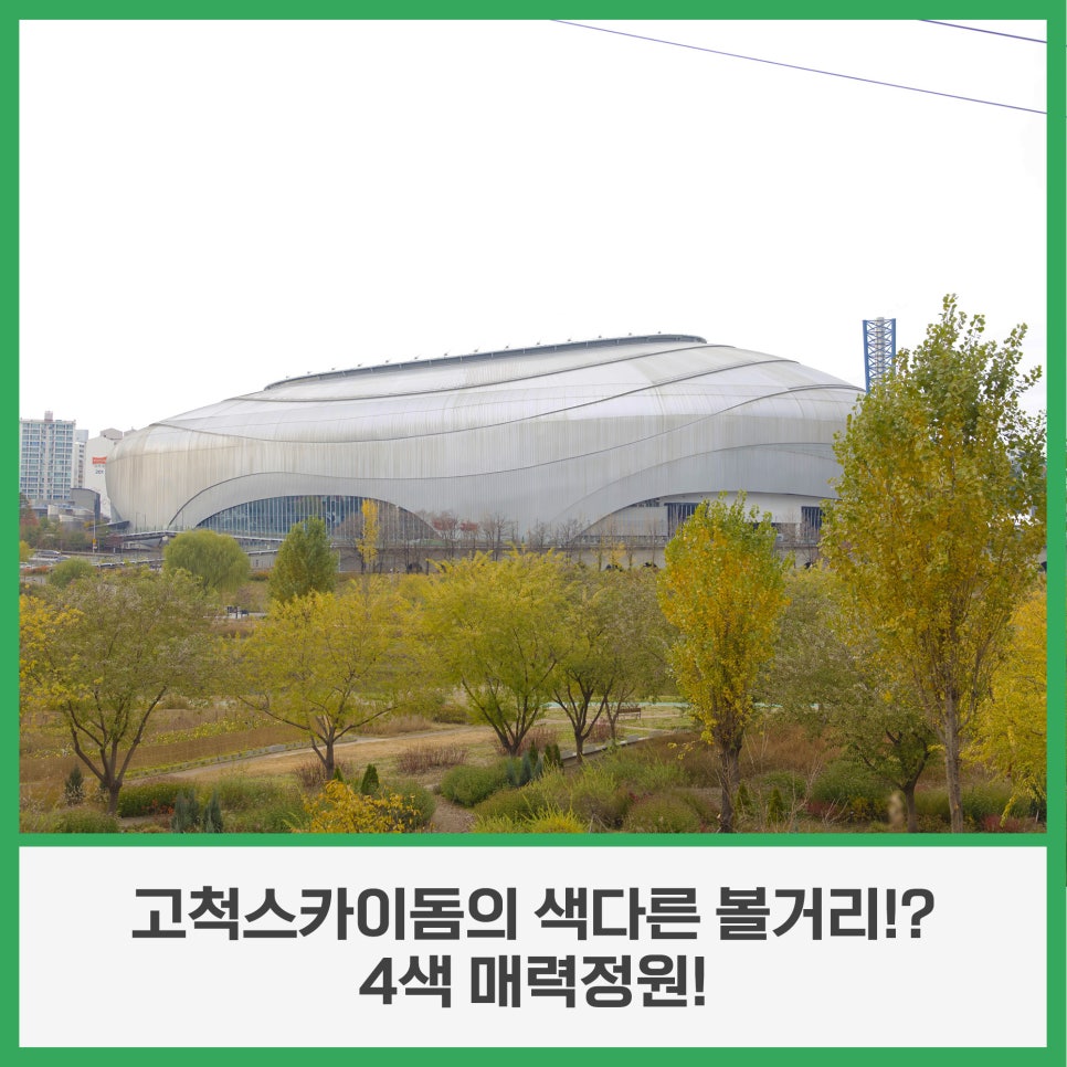 브로콜리 지역정보 관련 사진 31