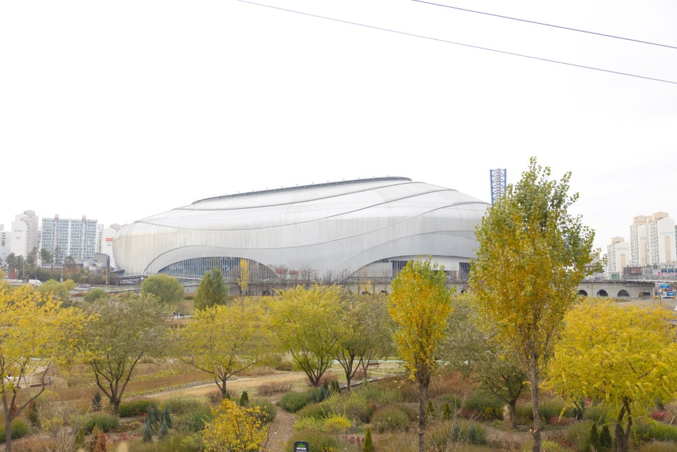 브로콜리 지역정보 관련 사진 6