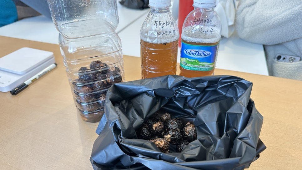 브로콜리 지역정보 관련 사진 11