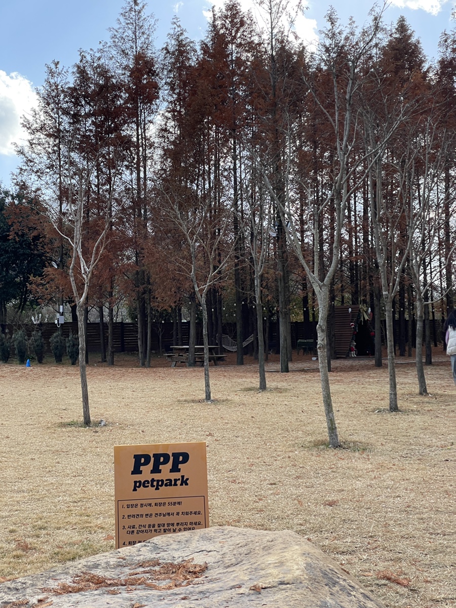 부산 PPP펫파크, 프라이빗 애견운동장 대관 후기 — 사진 2