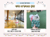 인천 애견카페 솔멍: 강아지 운동장 & 따뜻한 서비스 후기 — 사진 2
