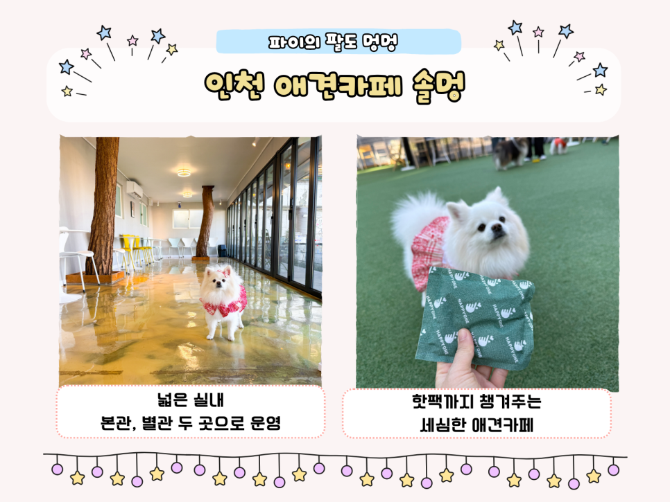 인천 애견카페 솔멍: 강아지 운동장 & 따뜻한 서비스 후기 — 사진 2