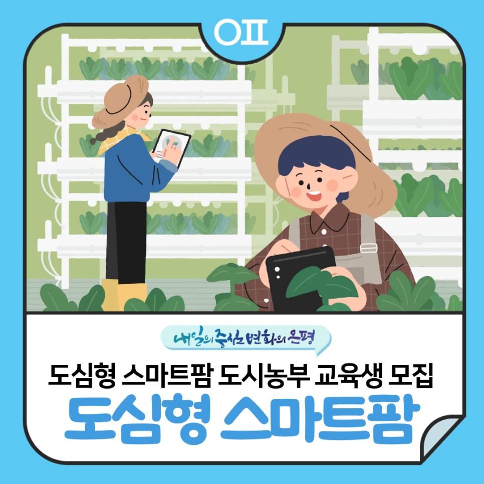 브로콜리 지역정보 관련 사진 1