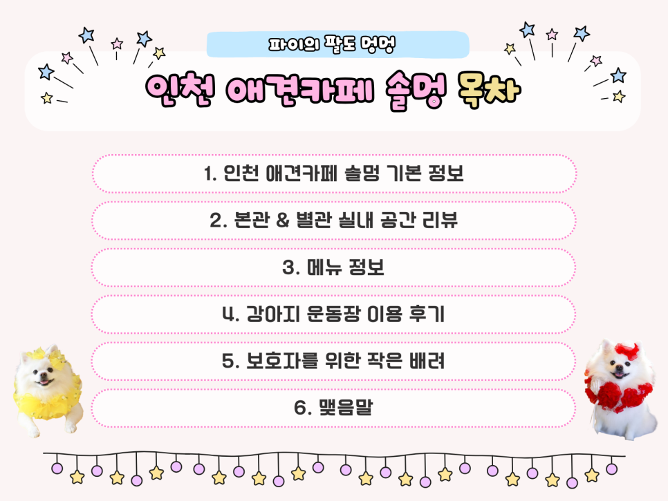 인천 애견카페 솔멍: 강아지 운동장 & 따뜻한 서비스 후기 — 사진 3