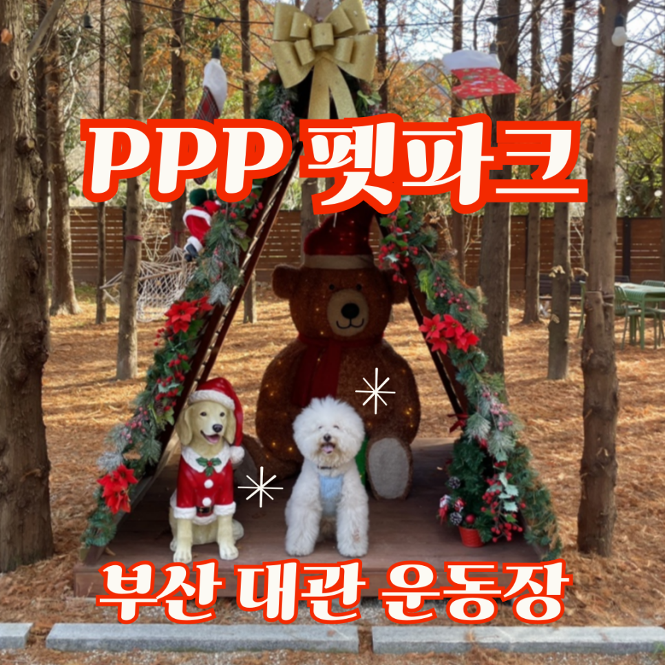 부산 PPP펫파크, 프라이빗 애견운동장 대관 후기