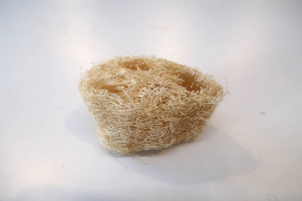 브로콜리 지역정보 관련 사진 28