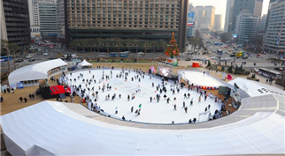 브로콜리 지역정보 관련 사진 6