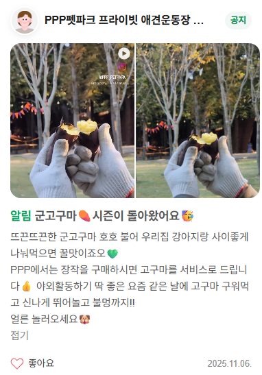 부산 PPP펫파크, 프라이빗 애견운동장 대관 후기 — 사진 5