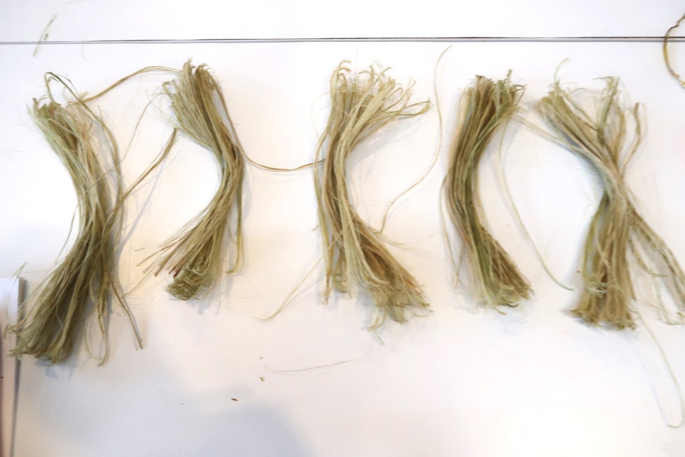 브로콜리 지역정보 관련 사진 17