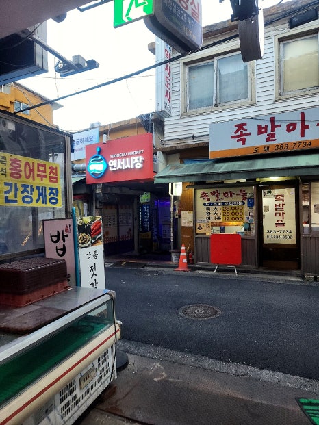 수진네 사진 5