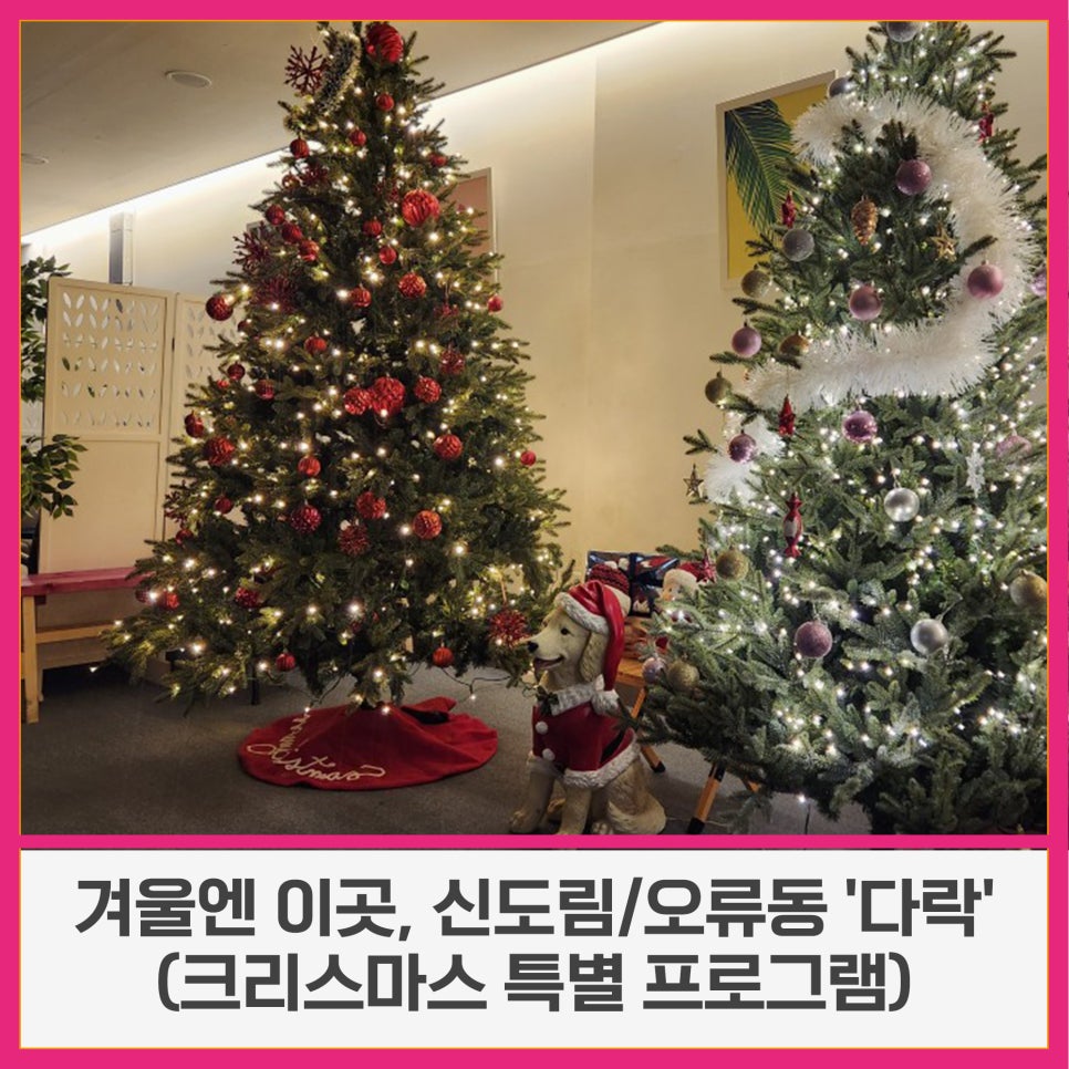 브로콜리 지역정보 관련 사진 7