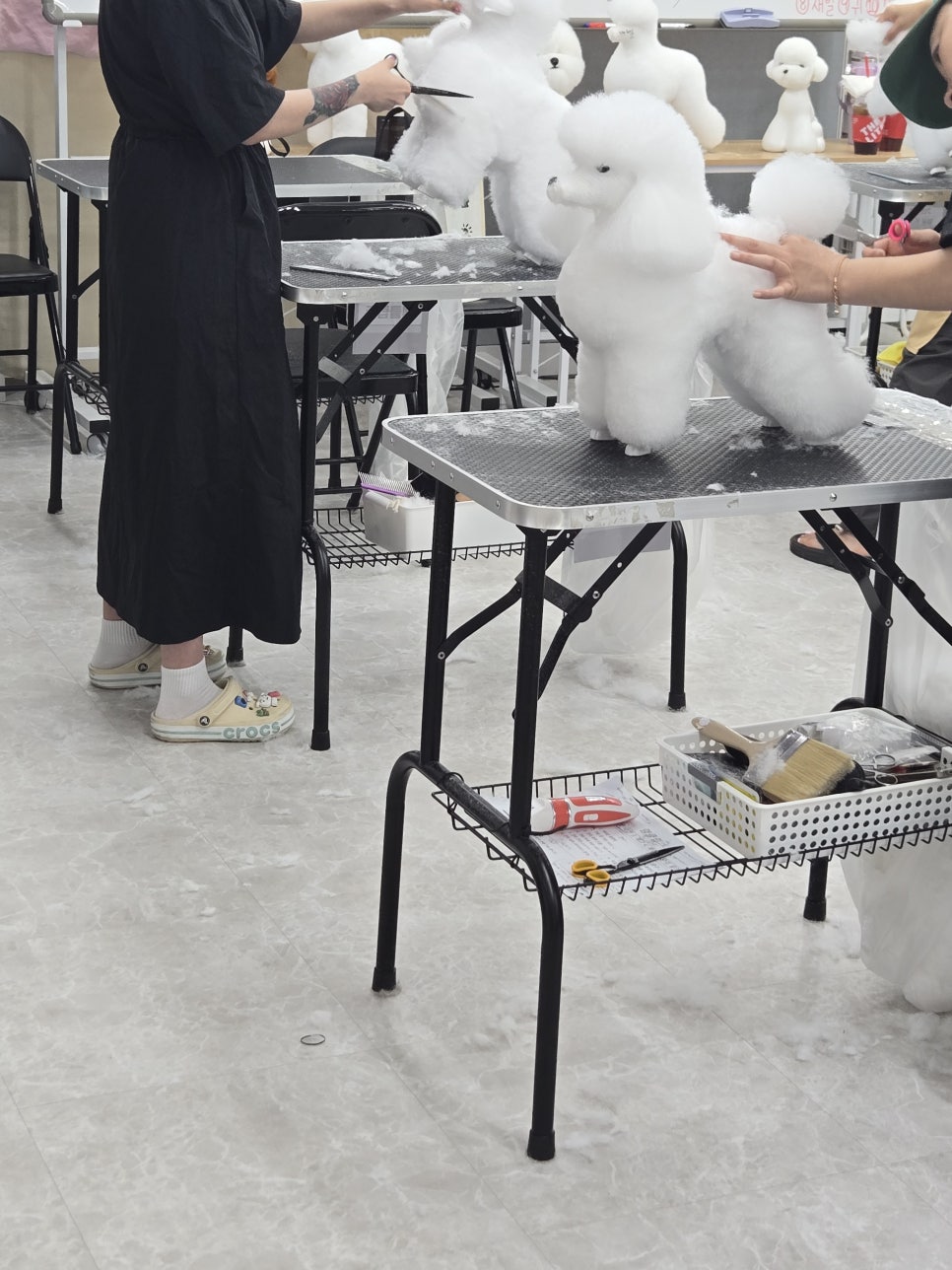 부산 애견미용학원, 이바우펫에서 전문가 되기 — 사진 2