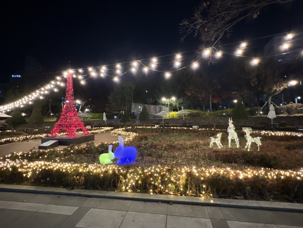 브로콜리 지역정보 관련 사진 2