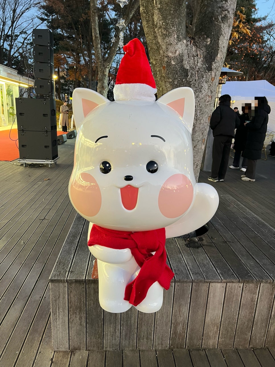 브로콜리 지역정보 관련 사진 24