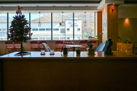 해실해실 이미지